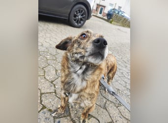 Phineas: „jetzt aber endlich eine eigene Familie"