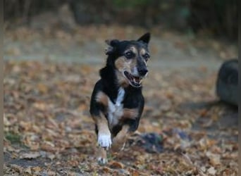 Ruby: Besitzerin unerwartet gestorben