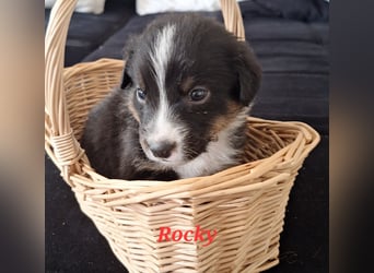 Sie sind endlich da 4 Mädels und 5 Jungs