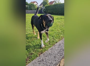 Jerry ist mein Name – und warte in PLZ 69509 auf Besuch von DIR