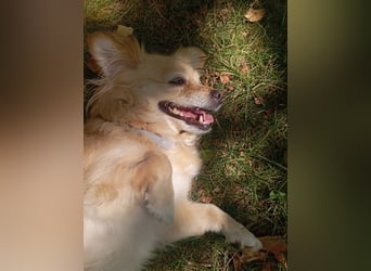Luna, hofft auf ihre 2. Chance