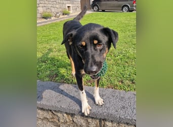 Jerry ist mein Name – und warte in PLZ 69509 auf Besuch von DIR