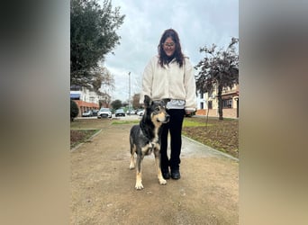 LOBITO