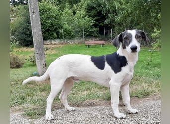 Zazu, kleiner Kerl mit großen Potential