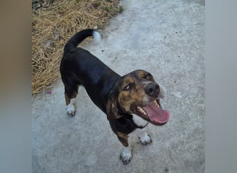 Arturo - junger Gutelaune-Bub