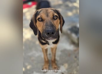 Jutta - unsere kleine Strandprinzessin sucht ihr Für-immer-Zuhause!