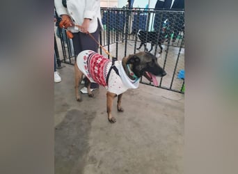 ❤️NELA❤️