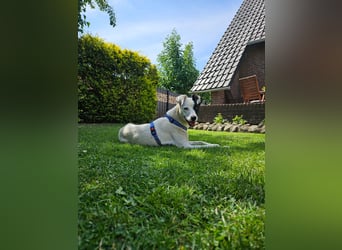 Ronja freut sich auf Deinen Besuch