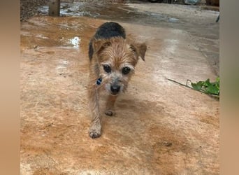 Micky ist ein Traumjunge und liebt das Leben