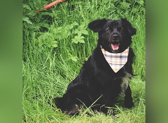 Cooper Y157 ist ein herziger Clown