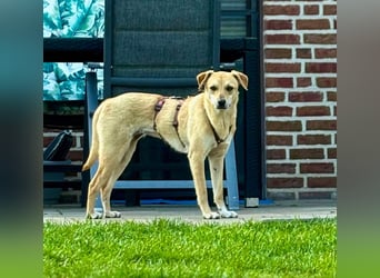 Raya - Sofa,Liebe,Abenteuer
