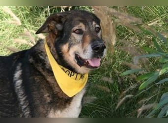 Ray (Spanien) - sucht Zuhause auf dem Land