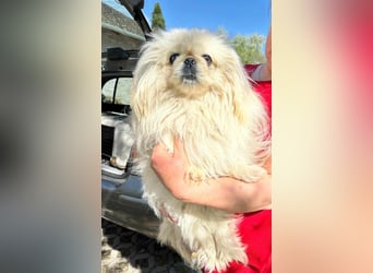 Frankie, geboren 2021, 29cm sucht sein Zuhause