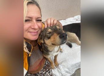 Maggie sucht liebevolles zu Hause