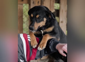 Mico ❤️ aufgeschlossen & verkuschelt!