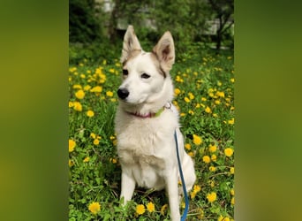 Hallo, ich bin Bella!