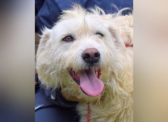 Gatsby - Der große Gatsby sucht seine Daisy
