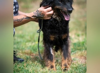 Zeyko