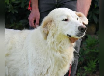 Kandie - kleines Mädchen mit großen Plänen