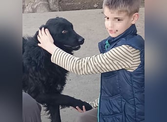 Zorro ein Traumcharakter