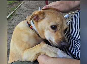 Winnie: kleiner Charmeur sucht dich!