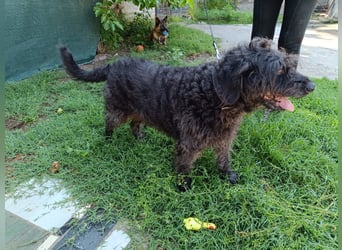 Ein neues Glück für Senior OTTO