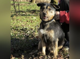 Bobek- ein Schatz zum lieb haben