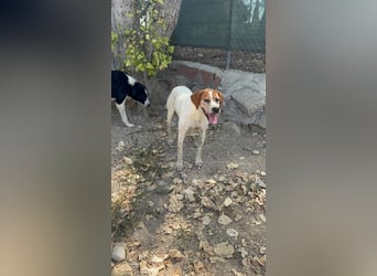 Esther, hofft auf ihr großes Glück