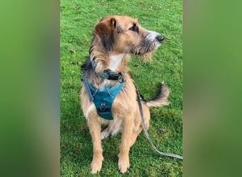 Winston wartet auf seine zweite Chance