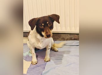Zarte Kokoni Zola wartet auf ihr Glück