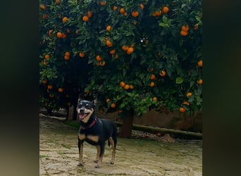 Pichito ist einfach nur charmant und herzlich