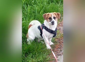 Lustige MONA sucht eine liebevolle Familie