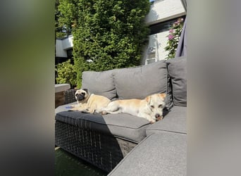 Alenia sucht ihr Traumzuhause !