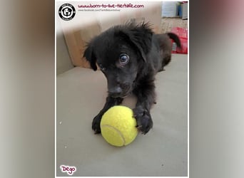 Mega lieber Dego sucht Zuhause