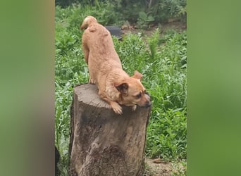 Greta und Helene, zwei süsse noch unerzogenen frechen Mäuse, nur im Doppelpack
