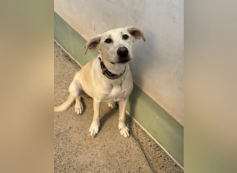 Lilly – sensibel, aktiv, besonders. Wer gibt ihr diesmal die richtige Chance?