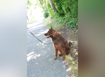 Schöner Emil ( * 03 / 2021 ) sucht seine Familie