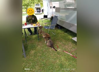 Lucia-Seniorin sucht Senioren-WG!