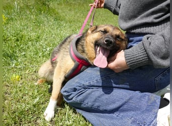 Liebe Ruby sucht eine neue Bleibe