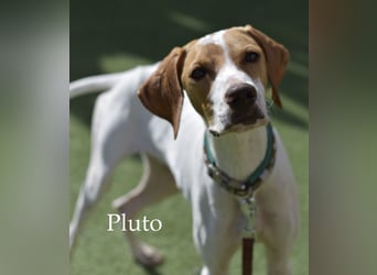 Pluto