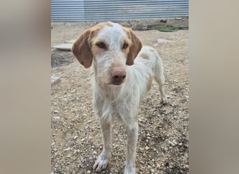 Zoe, ein toller Familienfreund