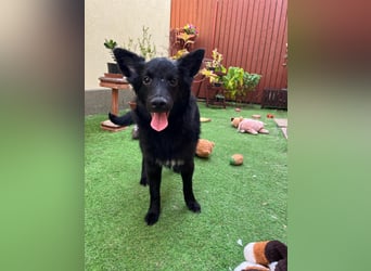 Fiona SR– Kleine Entdeckerin sucht liebevolles Zuhause