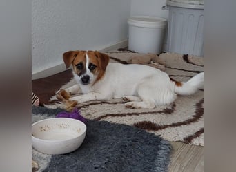 Lustige MONA sucht eine liebevolle Familie
