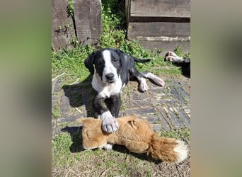 Terje sucht Traumzuhause!