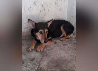 Sienna wartet schon so lange