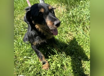 Biba eine kleine verschmuste aktive Prinzessin