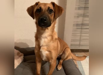 liebenswerte Edina