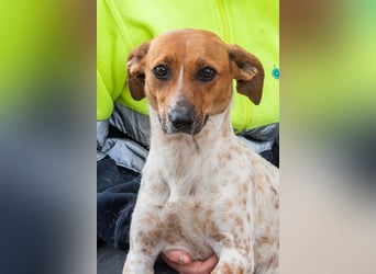 Entzückende LOLA sucht sehnsüchtig ihre Familie