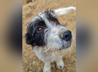 Herziger KELVIN sucht Kuschelpartner fürs Leben