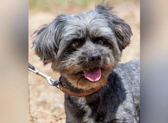 Kiko - ein charmanter Junge